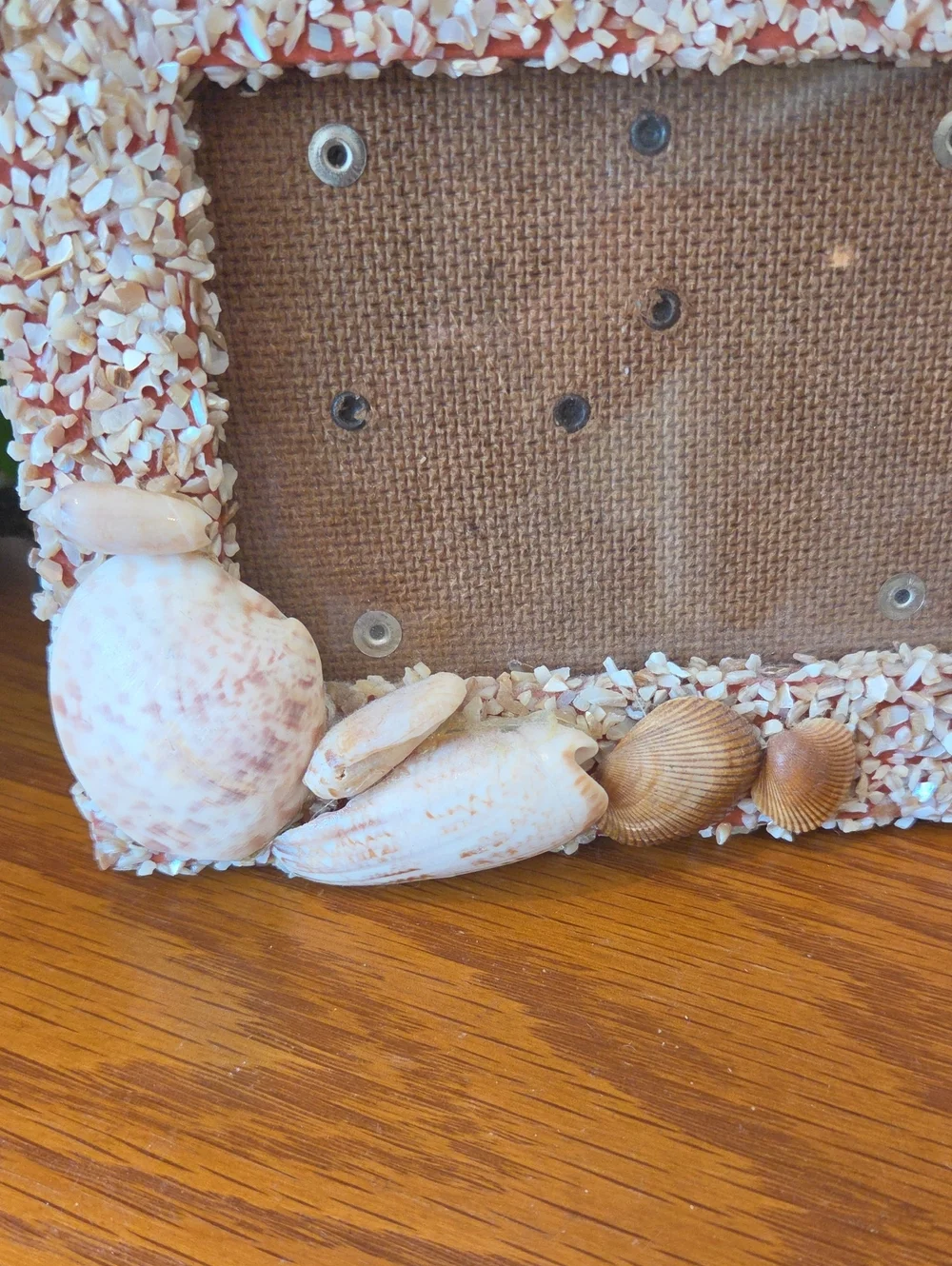 Seashell Photo Frame - Natural- Holds 3x5 Photo